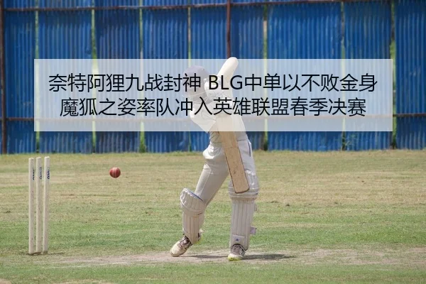 奈特阿狸九战封神 BLG中单以不败金身魔狐之姿率队冲入英雄联盟春季决赛