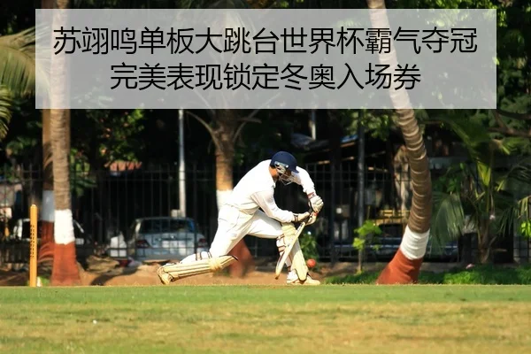 苏翊鸣单板大跳台世界杯霸气夺冠 完美表现锁定冬奥入场券